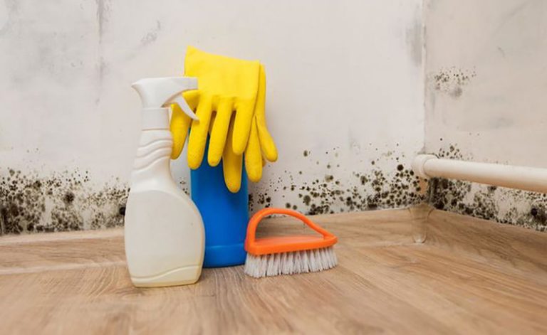 Как очистить пятна на обоях в домашних условиях